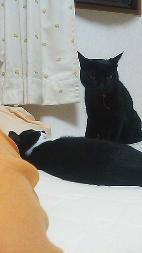 0827_04.jpg