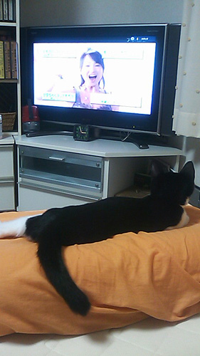 0827_3.jpg