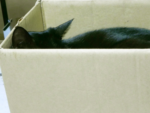 0911_2.jpg
